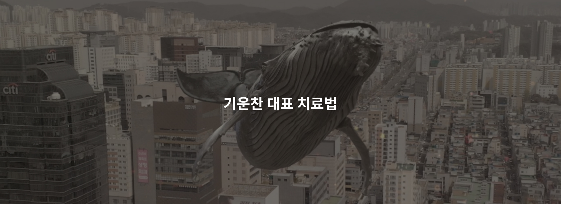 기운찬 대표 치료법